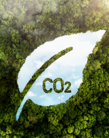 Carbon Storage Solutions